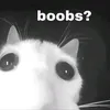 yaneznaybutlbl