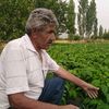 haci3838kayseri