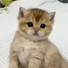 _kekk0_12