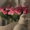 _if80