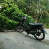 ekmisuwidarli