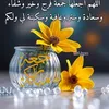 mohamedtaldi07gmail.com
