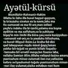 amin16190