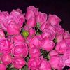 marzzhannu_