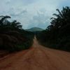 driverborneo_01