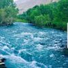 hamayounnoori912