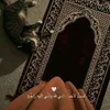 fatizohra340