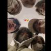 kim_min_mau