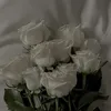 Rani 🕊️