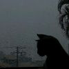 your_cats_