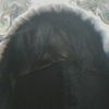 dhoisdead