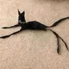 pakucita