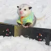 gearmachine