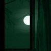 deadly._.nightshades