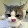 whatstheree
