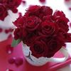 hassan5645455