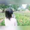 nganvl01