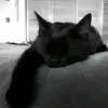 chiiayaaw