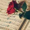 mervtmohamed787
