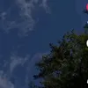 zzzzzzzzzqsppsw1