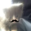 nhim_iuoi211