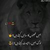 royalrajput6129