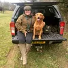 boldsburymorworkingdogs