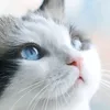 nduy2.0.0.5