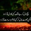 aminakhan1102