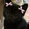 ilovemilk_678