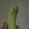 iphcof