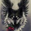 dallasdorsey524