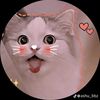 ayeshamoni013