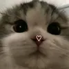 jubsfairy