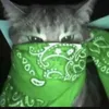 ilyassinho