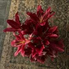 zahraamohammed289
