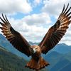 brahim_613