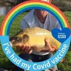 arthurgreenway346