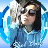 sholbass
