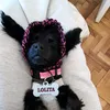 lolita_uwu429