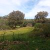 warekham