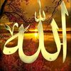 saadatkhan170