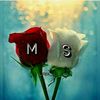 m.imrantosnyp35qz