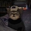 bballeditz0.9