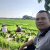 popay0012