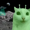 posang_alien