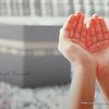heshamsaleh75