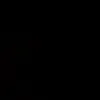 lilia_wp2