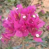 ful_0708061sv_