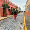tickingcoyotes550